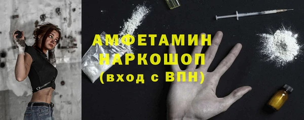 сатива Беломорск