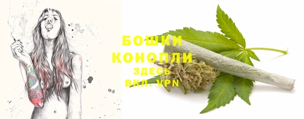 кокс Белокуриха