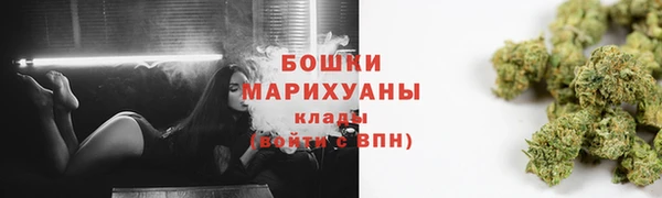 сатива Беломорск