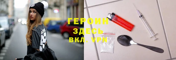 сатива Беломорск