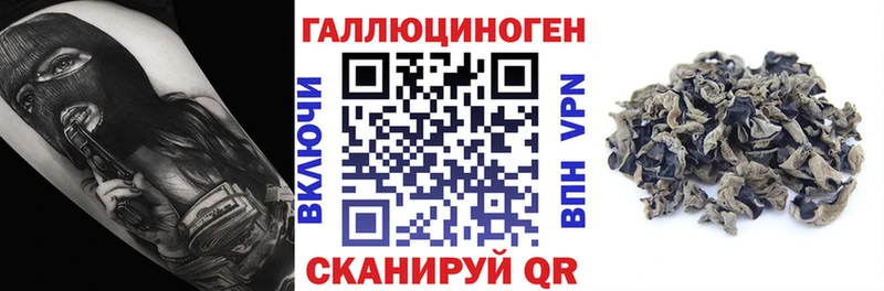 ОМГ ОМГ ССЫЛКА  Ахтырский  Галлюциногенные грибы Psilocybe 